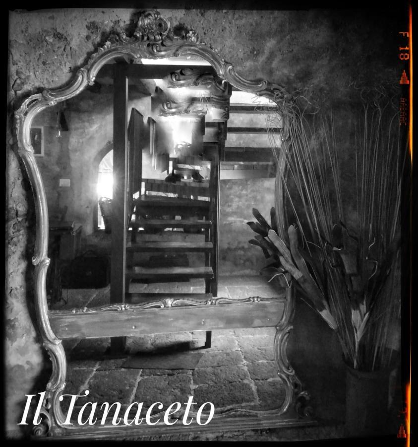 Готель Il Tanaceto Кастільйоне-ді-Сицилія Екстер'єр фото
